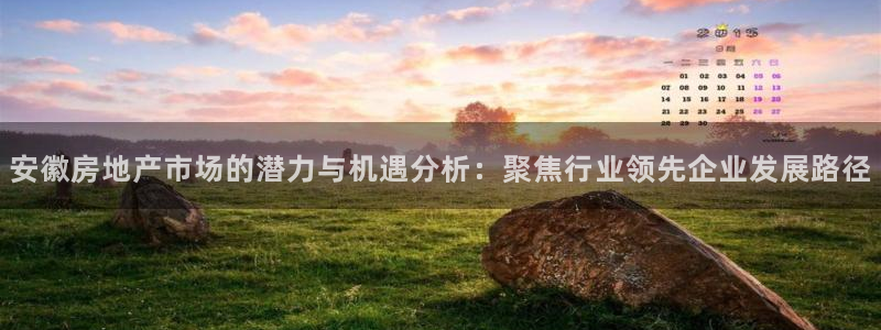 万向娱乐app