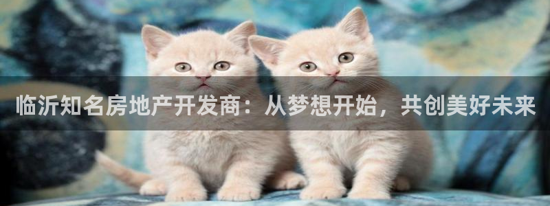万向娱乐代理好看视频是真的吗