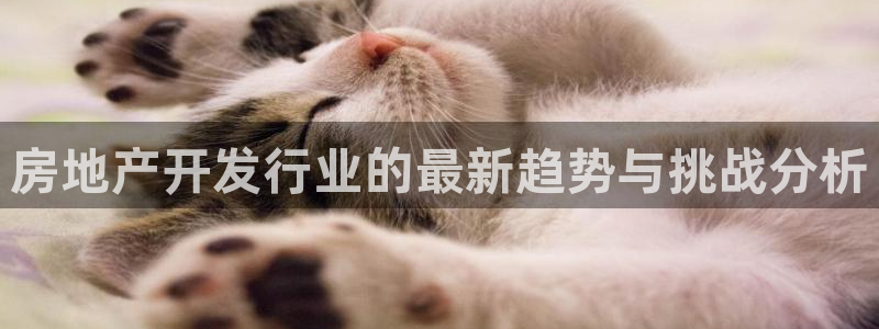 万向娱乐平台代理多少钱一个