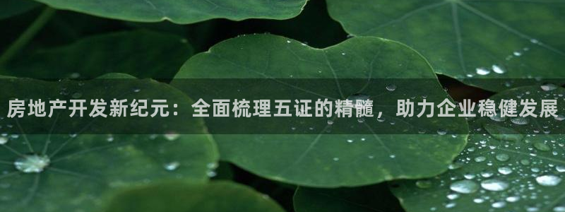 万向娱乐平台招商骗局