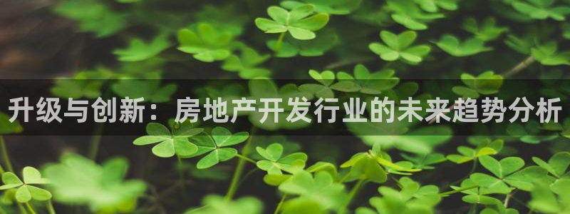 万向娱乐王者荣耀